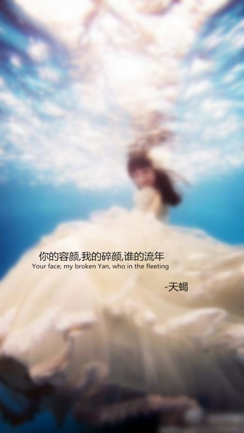 十二星座婚纱系语文字大全图片