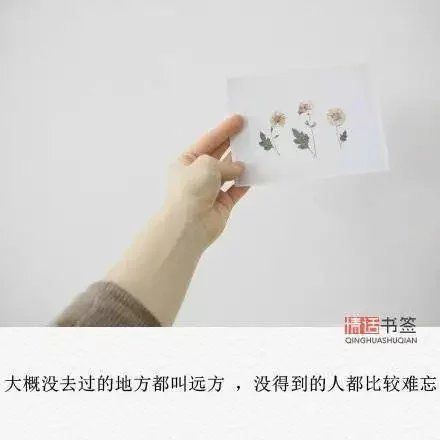 文艺小清新文字配图伤感图集图片