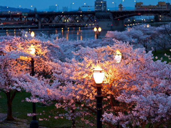 治愈系非主流小清新图片