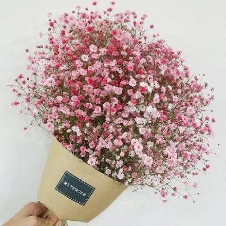 满天星唯美小清新大全图片