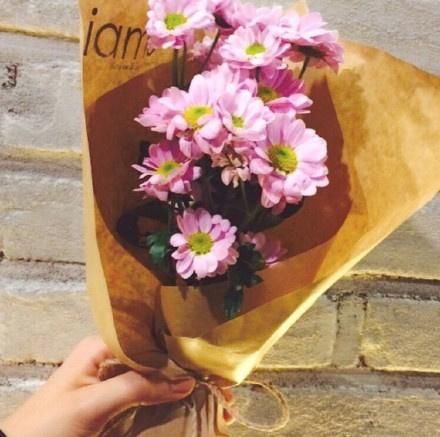 花香唯美小清新美图图片