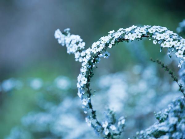 治愈系非主流小清新图片