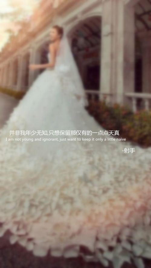 十二星座婚纱系语文字大全图片