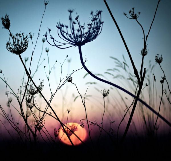 锁住浪漫瞬间高清唯美图片