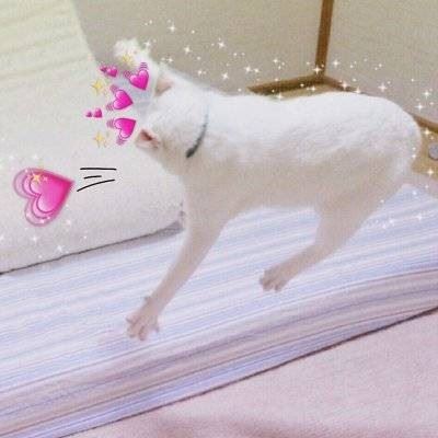 情侣头像动漫真人小朋友 超可爱图片