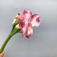 粉色马蹄莲唯美头像大全_微信头像大全图片