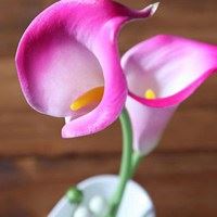 粉色马蹄莲唯美头像大全_微信头像大全图片