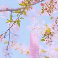 唯美风景喜庆吉利的头像（好运）_微信头像大全图片