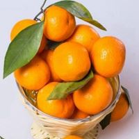 唯美好看的水果头像_微信头像大全图片