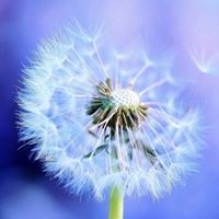 唯美好看甜甜的风景头像//好看风景_微信头像大全图片