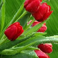 唯美好看甜甜的风景头像//好看风景_微信头像大全图片