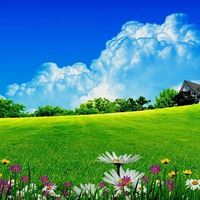 唯美好看甜甜的风景头像//好看风景_微信头像大全图片