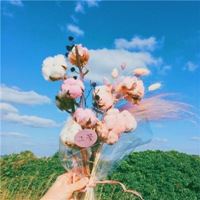 唯美好看甜甜的风景头像//好看风景_微信头像大全图片
