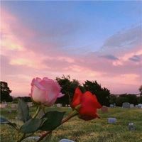 唯美好看甜甜的风景头像//好看风景_微信头像大全图片