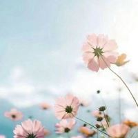 2021唯美的花芬美图头像合集_微信头像大全图片