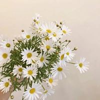 2021唯美的花芬美图头像合集_微信头像大全图片