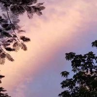 唯美清新风景//偶尔心动，惯性拒绝_微信头像大全图片
