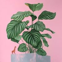极简唯美多风格_微信头像大全图片