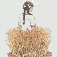 极简唯美多风格_微信头像大全图片
