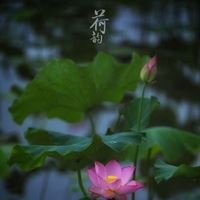 简约唯美景色//你喜欢的风格都有_微信头像大全图片