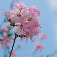 简约唯美景色//你喜欢的风格都有_微信头像大全图片