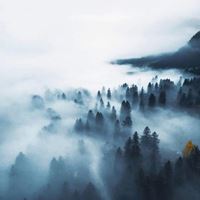 简约唯美景色//你喜欢的风格都有_微信头像大全图片