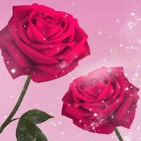 唯美好看的花朵//太美了_微信头像大全图片