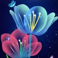 唯美好看的花朵//太美了_微信头像大全图片