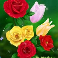 唯美好看的花朵//太美了_微信头像大全图片