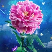 唯美好看的花朵//太美了_微信头像大全图片