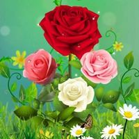 唯美好看的花朵//太美了_微信头像大全图片