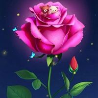 唯美好看的花朵//太美了_微信头像大全图片