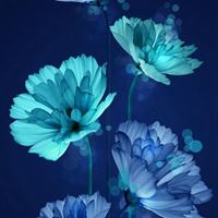 一组人见人爱的唯美小清新_微信头像大全图片