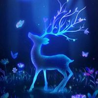 梦幻的花朵 唯美而迷幻之花香渗入心_微信头像大全图片