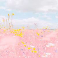 莫兰迪色系唯美意境头像//到心坎里_微信头像大全图片