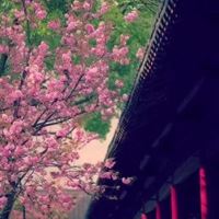 唯美好看的花朵花簇景色头像_微信头像大全图片