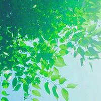 小清新唯美的风景来一波//清爽+清新_微信头像大全图片