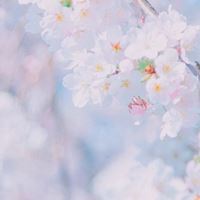 小清新唯美的风景来一波//清爽+清新_微信头像大全图片