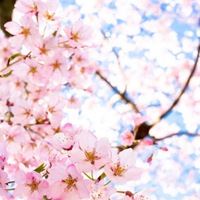 小清新唯美的风景来一波//清爽+清新_微信头像大全图片