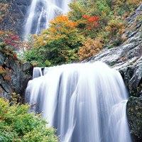 唯美好看的流水生财+小景瀑布景色_微信头像大全图片