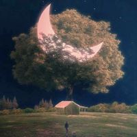 创意梦幻的一组唯美人物+风景+动漫头像_微信头像大全图片