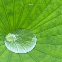 小清新的一些风景+静物头像_微信头像大全图片