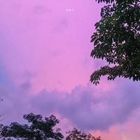 小清新的一些风景+静物头像_微信头像大全图片