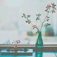 小清新的一些风景+静物头像_微信头像大全图片