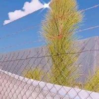 小清新的一些风景+静物头像_微信头像大全图片