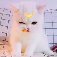 光影彩虹壁纸//愿你想要的都能实现_微信头像大全图片