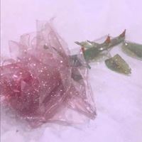 超仙气唯美头像//“少女的征途是星辰大海  而非烟尘人间＂_微信头像大全图片
