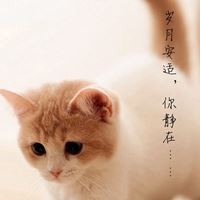 唯美好看的小动物_微信头像大全图片
