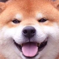 唯美好看的小动物_微信头像大全图片