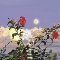 唯美ins仙气的花朵+风景_微信头像大全图片